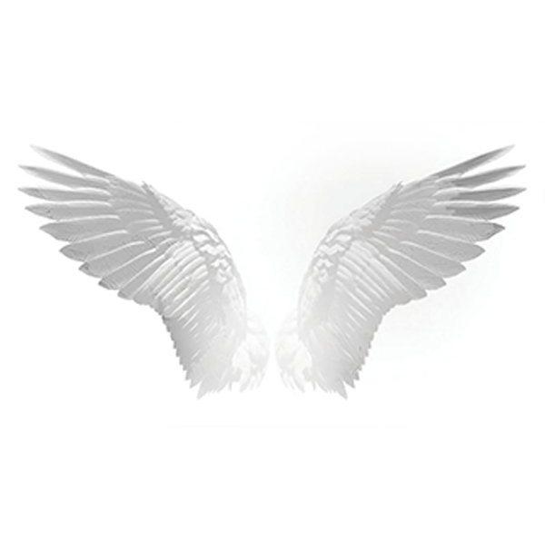 Wings