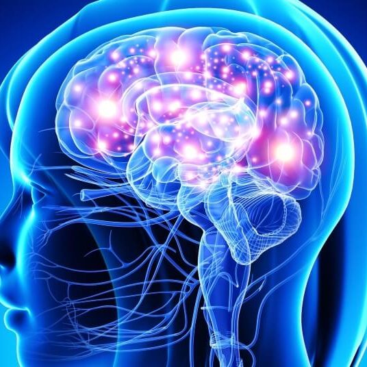 Blog-Feeding-your-Brain-Article-for-Curve-magazine