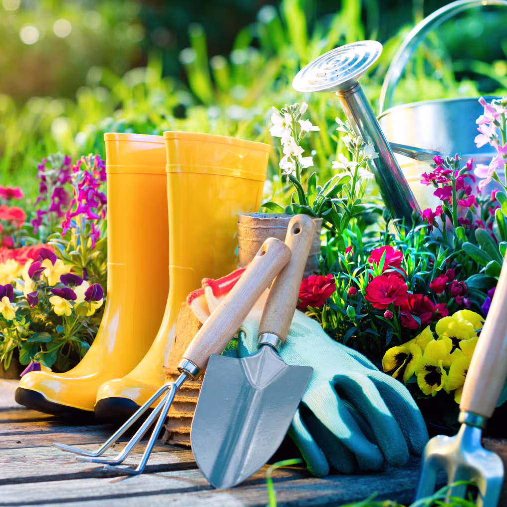 gardening-1521662873