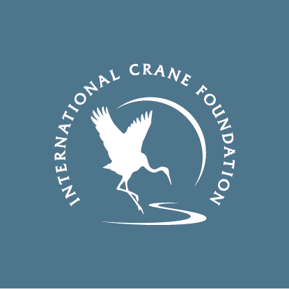icf_2015_logo_white_on_blue