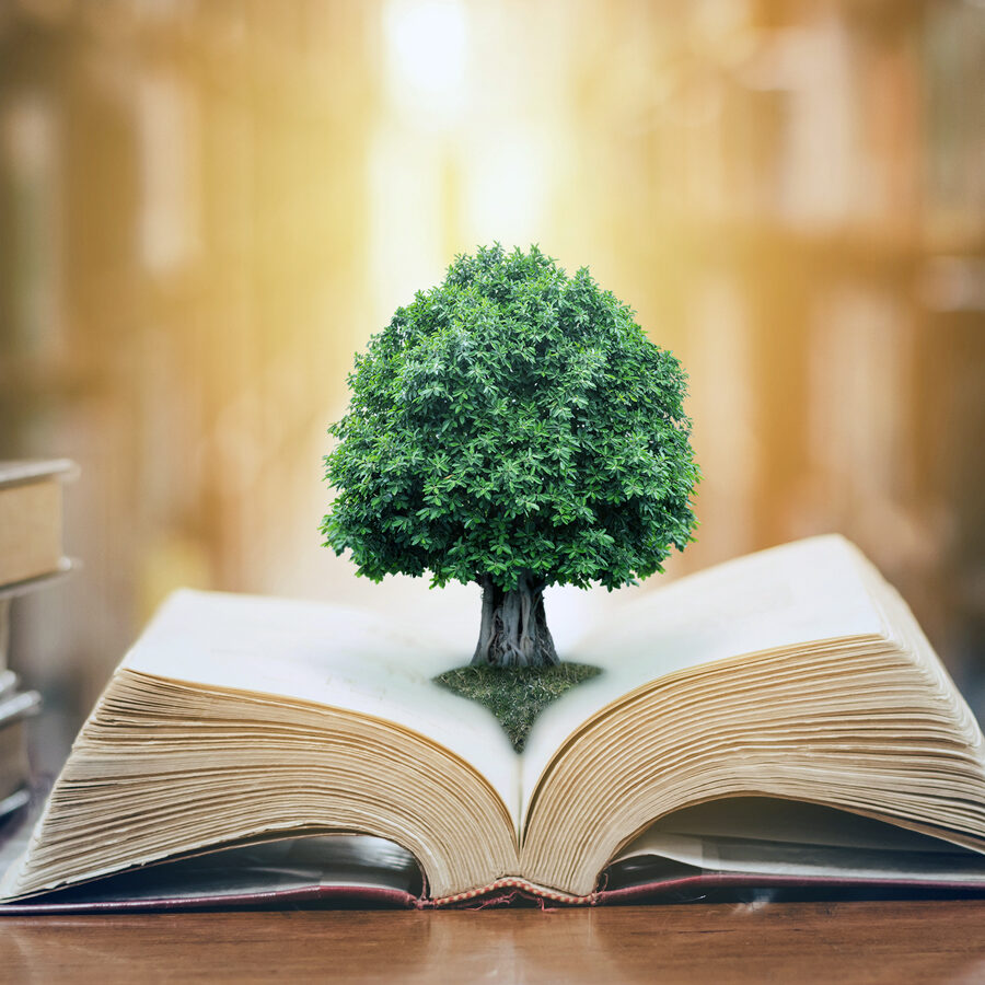tree-wisdom-knowledge-book-open